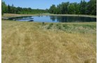 Property photo 9 - 21 Acre Modern Country Estate